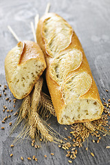 Image showing White baguette