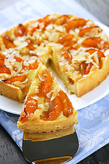 Image showing Slice of apricot and almond pie
