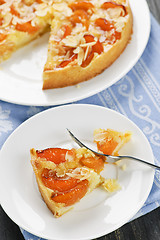 Image showing Slice of apricot and almond pie