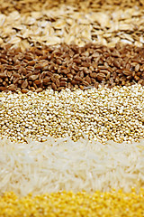 Image showing Various grains close up