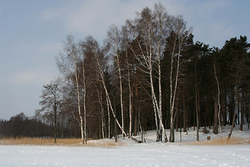 Image showing Landscape