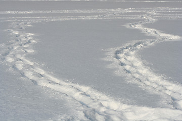 Image showing Snow