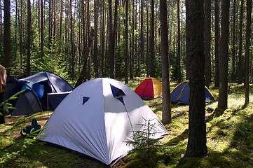 Image showing Tents in the Forest