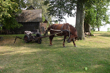 Image showing Rural Landscape