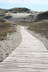 Image showing Road into the Sand