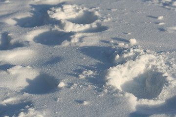 Image showing Footprints on Snow