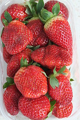 Image showing Strawberry