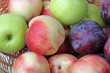 Image showing The closeup of various fruits