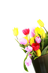 Image showing vase of tulips