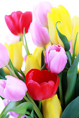 Image showing vase of tulips