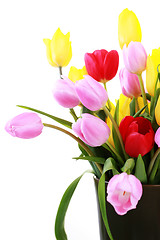 Image showing vase of tulips