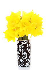 Image showing daffodils