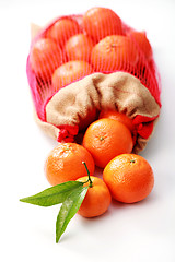 Image showing tangerines