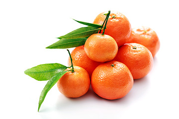 Image showing tangerines