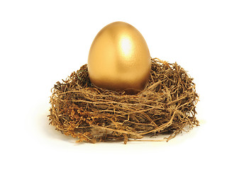 Image showing Golden nest egg representing retirement savings