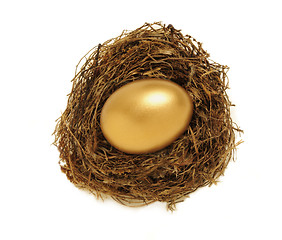 Image showing Golden nest egg representing retirement savings