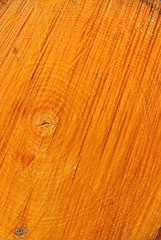 Image showing Aspen Growth Rings