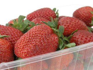 Image showing strawberry