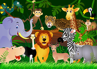 Image showing Animal in the jungle