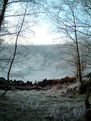 Image showing Corrie from the woods