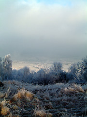 Image showing Endrick valley in frost