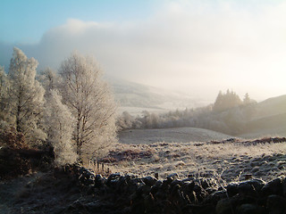 Image showing Frosty valley