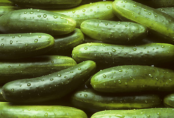 Image showing Pile of fresh cucumbers