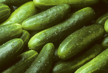 Image showing Pile of fresh cucumbers lying diagonally