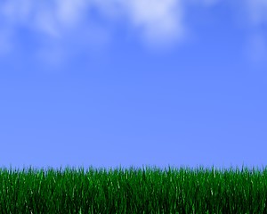 Image showing bright grass