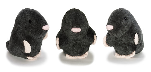 Image showing Trio Gentlemans in black velvet isolated toy