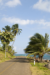 Image showing malecon by caribbean sea corn island nicaragua