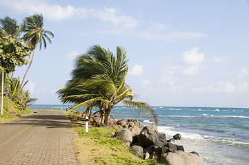 Image showing malecon by caribbean sea corn island nicaragua