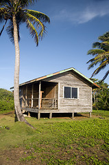 Image showing basic beach house cabana corn island nicaragua