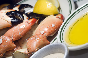 Image showing florida stone crab claws