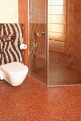 Image showing Zebra toilet