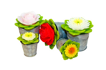 Image showing Can flowers