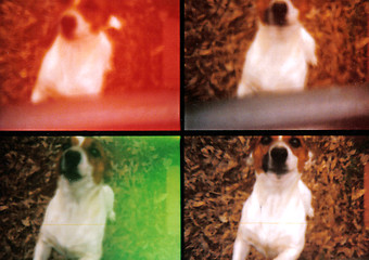 Image showing Lomograph.