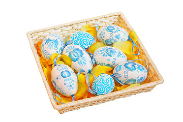 Image showing Blue eggs