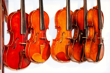 Image showing Violins