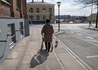 Image showing Disabled with dog