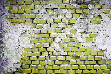 Image showing Brick wall