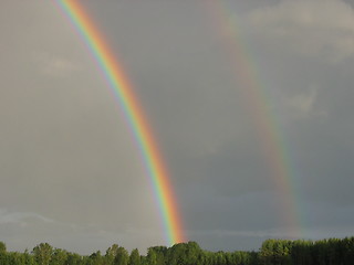 Image showing Rainbows