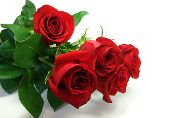 Image showing Red roses