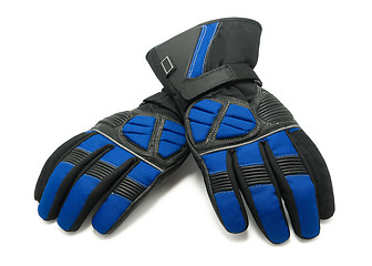 Image showing Pair of winter ski gloves