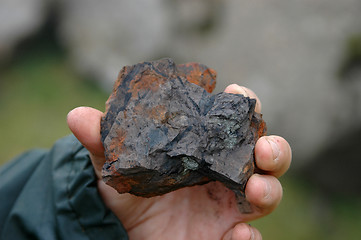 Image showing Fossil in hand