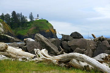 Image showing Driftwood View of Cape Disappointment