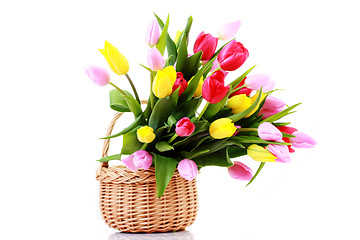 Image showing basket full of tulips