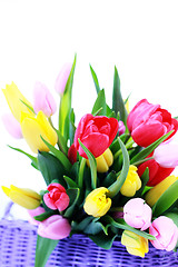 Image showing basket full of tulips