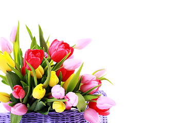 Image showing basket full of tulips