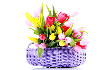 Image showing basket full of tulips